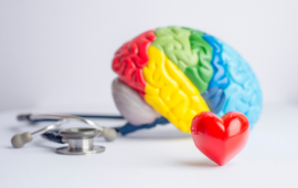 brain, heart, and stethoscope 