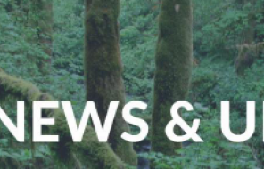 Oregon Department of Forestry - News & Updates